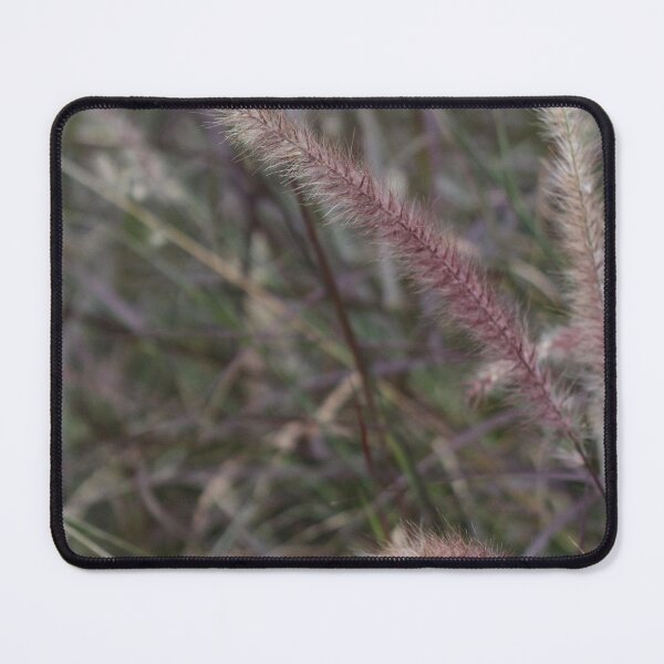 Item preview, African Fountain Grass by photographer  designed and sold by IdeaND.