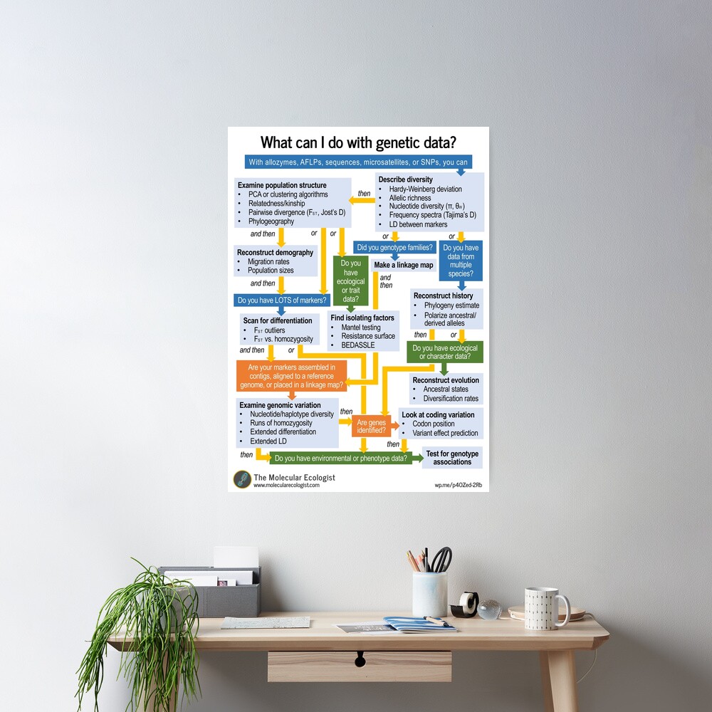 Molecular Ecology, the Flowchart Poster