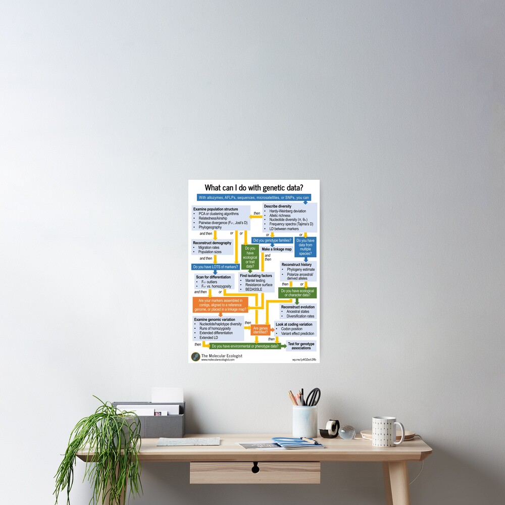 Molecular Ecology, the Flowchart Poster