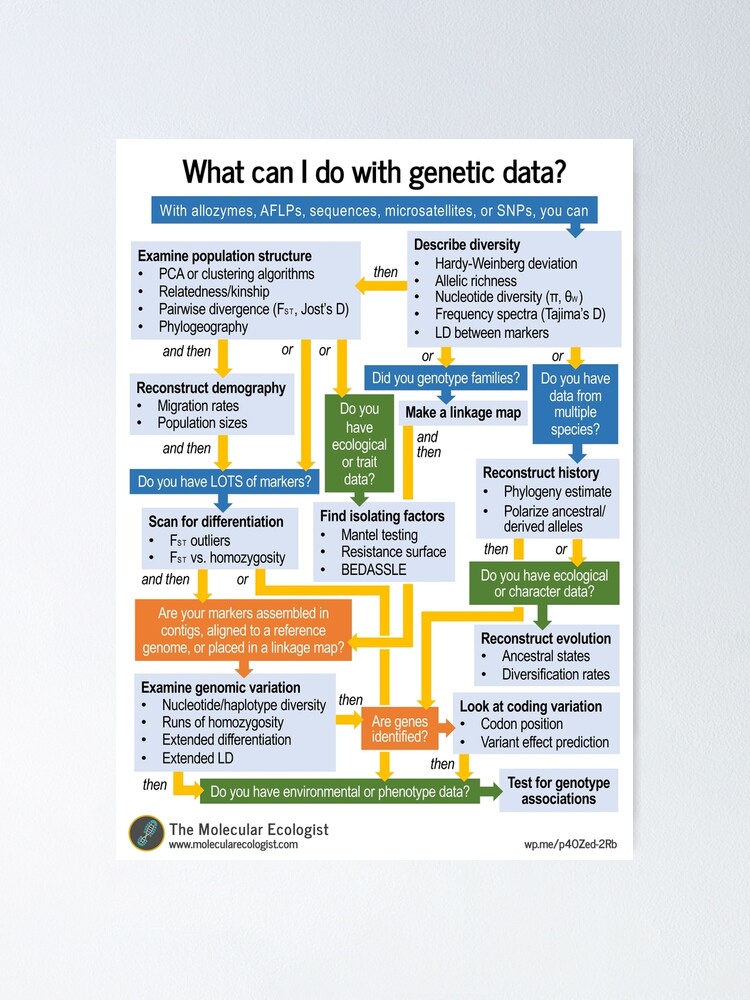 Alternate view of Molecular Ecology, the Flowchart Poster