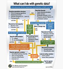 Molecular Ecology, the Flowchart Poster