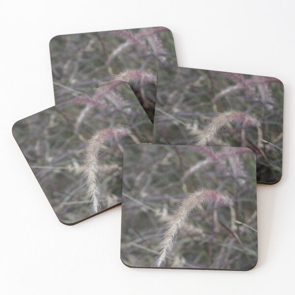 Item preview, African Fountain Grass by photographer  designed and sold by IdeaND.