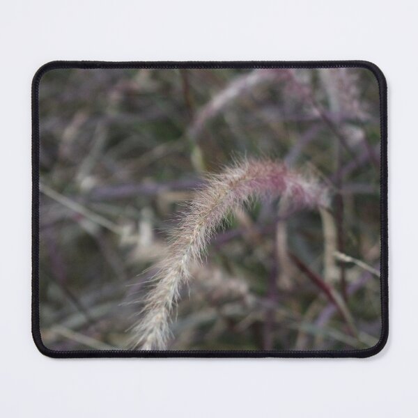 Item preview, African Fountain Grass by photographer  designed and sold by IdeaND.