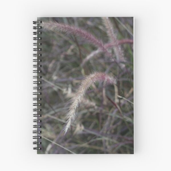Item preview, African Fountain Grass by photographer  designed and sold by IdeaND.