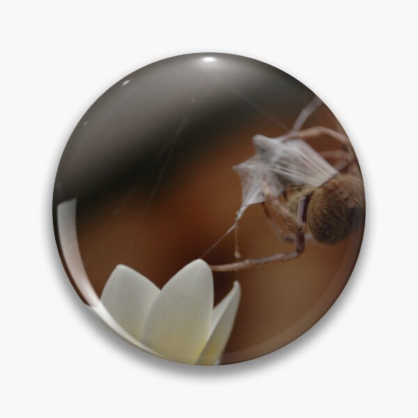 Item preview, Dinner Time © Vicki Ferrari Photography designed and sold by Vicki Ferrari Photography.