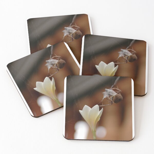 Item preview, Dinner Time © Vicki Ferrari Photography designed and sold by Vicki Ferrari Photography.