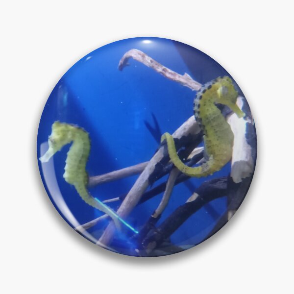 Item preview, Hippocampus seahorses designed and sold by Digitluz.