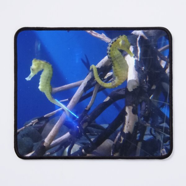Item preview, Hippocampus seahorses designed and sold by Digitluz.