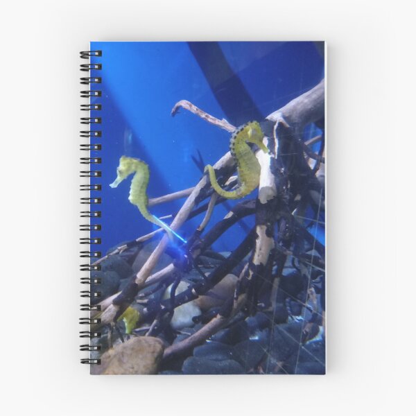 Item preview, Hippocampus seahorses designed and sold by Digitluz.