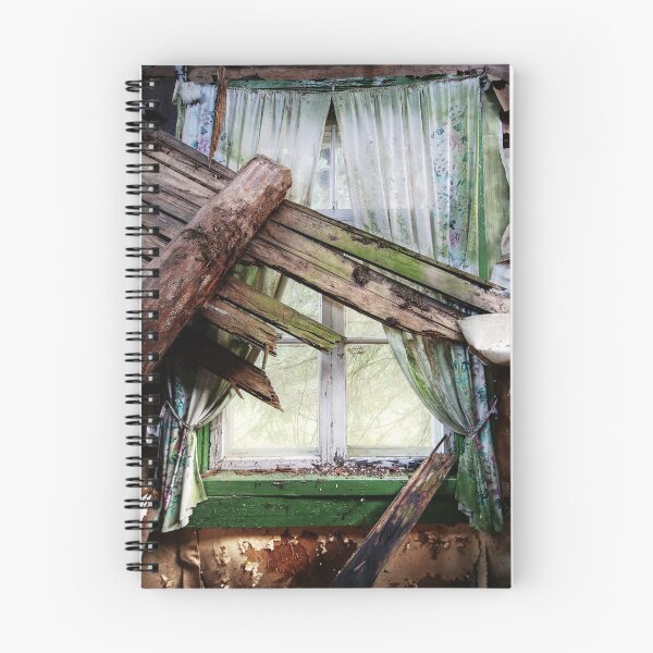 Item preview, 3.10.2025: View From an Old Abandoned House designed and sold by Petri Volanen.