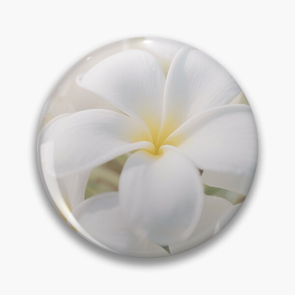 Item preview, Pure White Hawaiian Plumeria in Soft Sunlight Flower designed and sold by Star3NowForMe.