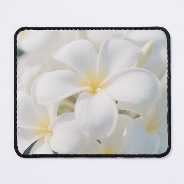 Item preview, Pure White Hawaiian Plumeria in Soft Sunlight Flower designed and sold by Star3NowForMe.