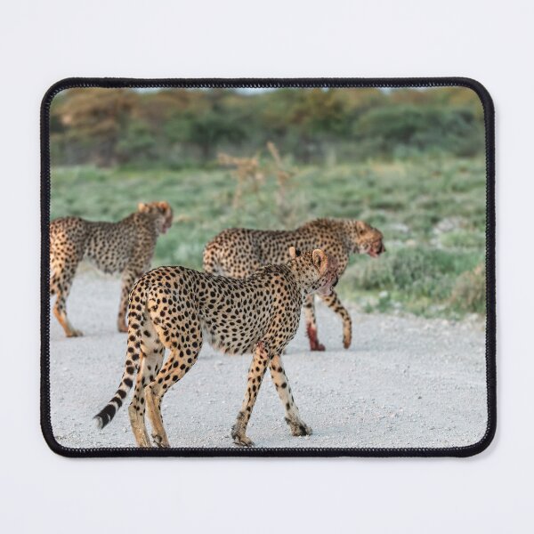Item preview, After the Chase — The Three Brothers of Etosha Crossing the Road, Namibia (2023) designed and sold by DavideAntoniani.