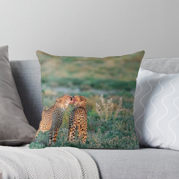 Item preview, Consolation — Cheetah Brothers of Etosha, Namibia (2023) designed and sold by DavideAntoniani.