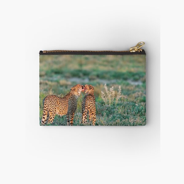Item preview, Consolation — Cheetah Brothers of Etosha, Namibia (2023) designed and sold by DavideAntoniani.
