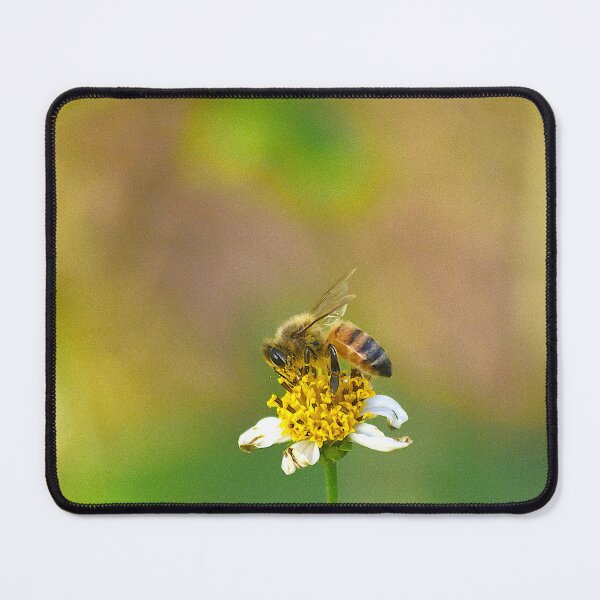Item preview, Bee Pollinating a Wildflower designed and sold by MercerImages.