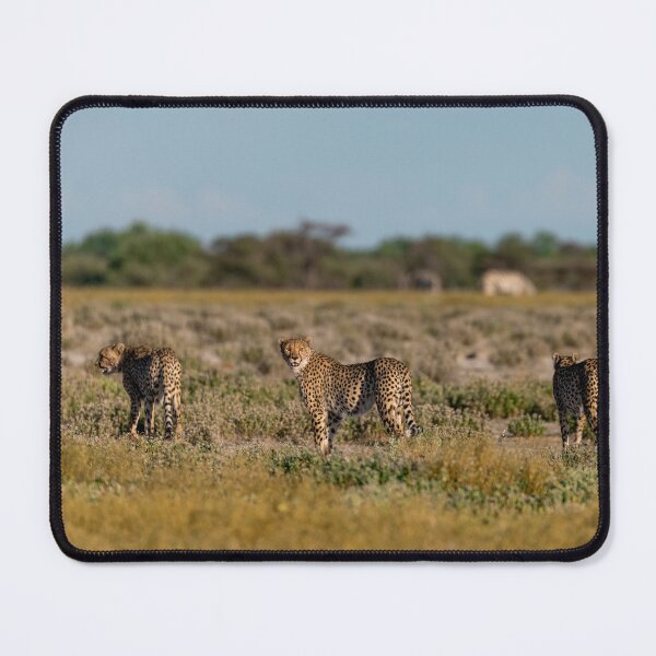 Item preview, After the Feast — The Three Brothers of Etosha Look Back, Namibia (2023) designed and sold by DavideAntoniani.
