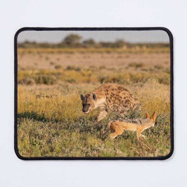 Item preview, Stubborn Shadows — Hyena and Jackal at the Leftovers, Etosha, Namibia (2023) designed and sold by DavideAntoniani.