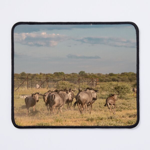 Item preview, Dust Lines — Blue Wildebeest Herd on the Move, Etosha, Namibia (2023) designed and sold by DavideAntoniani.