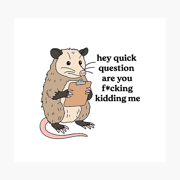 Item preview, Hey Quick Question Are You F*cking Kidding Me" Opossum Meme designed and sold by JossDesign15.