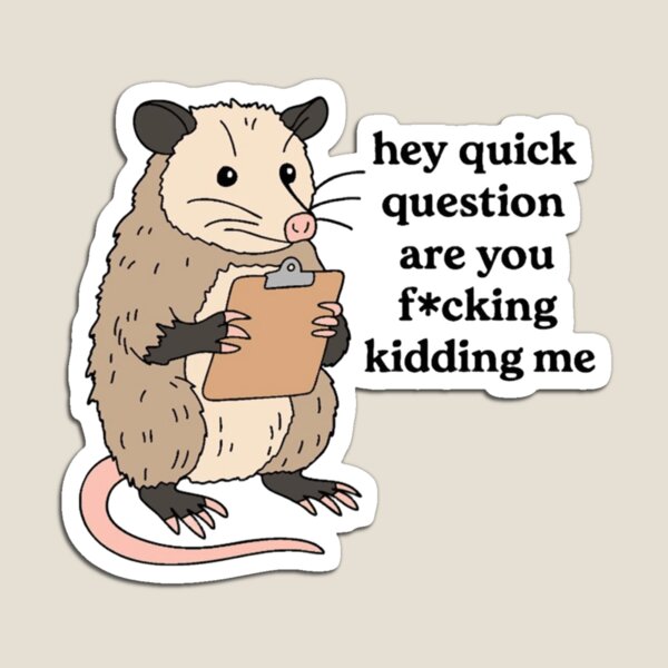 Item preview, Hey Quick Question Are You F*cking Kidding Me" Opossum Meme designed and sold by JossDesign15.