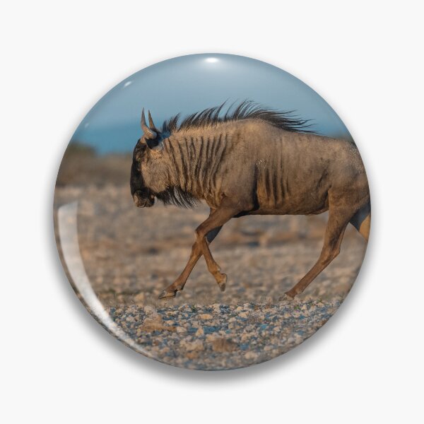 Item preview, Graceful Trot — Blue Wildebeest in Golden Light, Etosha, Namibia (2023) designed and sold by DavideAntoniani.