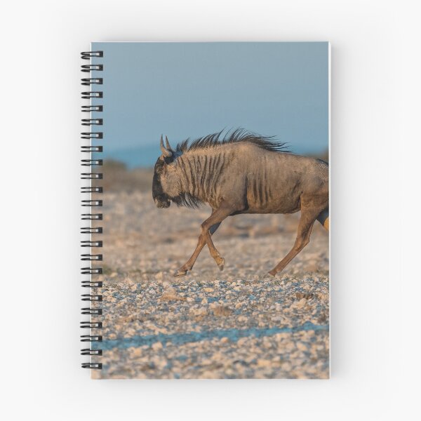 Item preview, Graceful Trot — Blue Wildebeest in Golden Light, Etosha, Namibia (2023) designed and sold by DavideAntoniani.