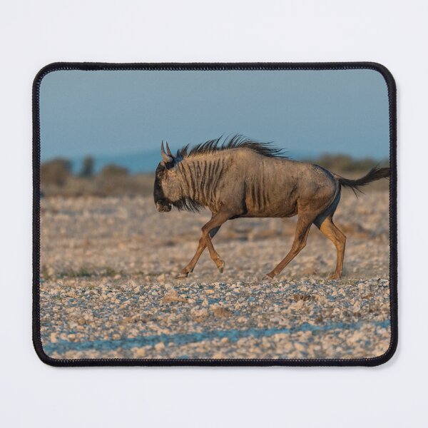 Item preview, Graceful Trot — Blue Wildebeest in Golden Light, Etosha, Namibia (2023) designed and sold by DavideAntoniani.