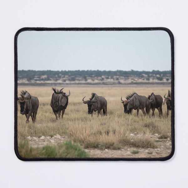Item preview, Line of Horns — Blue Wildebeest Across the Etosha Grasslands, Namibia (2023) designed and sold by DavideAntoniani.