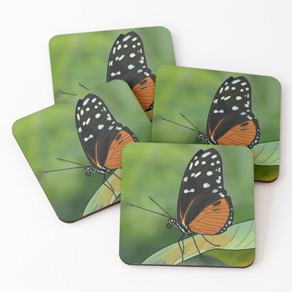 Item preview, Tiger Longwing: Garden Flame on the Wing designed and sold by David Patterson.