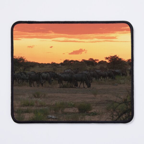 Item preview, Ember Horizon — Blue Wildebeest Herd at Sunset, Etosha, Namibia (2023) designed and sold by DavideAntoniani.