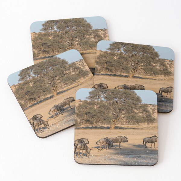 Item preview, Under the Acacia — Blue Wildebeest at the Waterhole, Etosha, Namibia (2023) designed and sold by DavideAntoniani.
