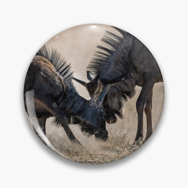 Artikelvorschau, Staub und Hörner – Streifengnu-Sparring, Etosha, Namibia (2023) entworfen und verkauft von DavideAntoniani.