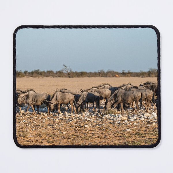 Item preview, Salt Stones — Blue Wildebeest Herd Grazing, Etosha, Namibia (2023) designed and sold by DavideAntoniani.
