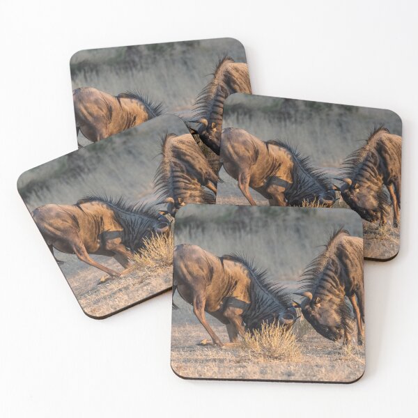 Item preview, Evening Clash — Blue Wildebeest Sparring in Golden Light, Etosha, Namibia (2023) designed and sold by DavideAntoniani.