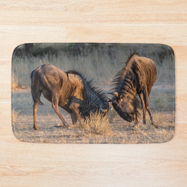 Item preview, Evening Clash — Blue Wildebeest Sparring in Golden Light, Etosha, Namibia (2023) designed and sold by DavideAntoniani.