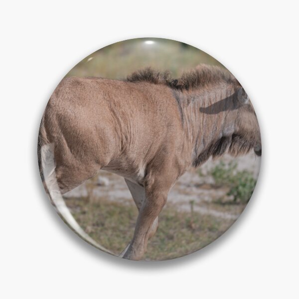 Item preview, First Steps of the Plains — Young Blue Wildebeest Calf, Etosha National Park, Namibia (2023) designed and sold by DavideAntoniani.