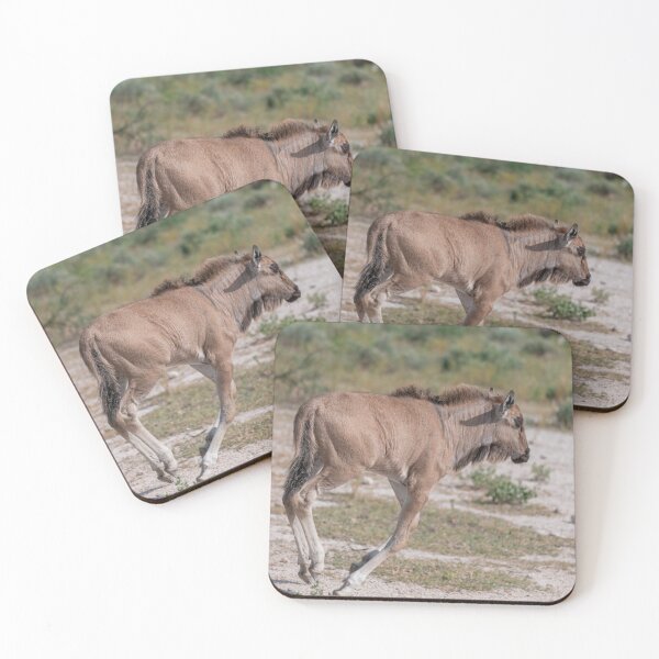 Item preview, First Steps of the Plains — Young Blue Wildebeest Calf, Etosha National Park, Namibia (2023) designed and sold by DavideAntoniani.