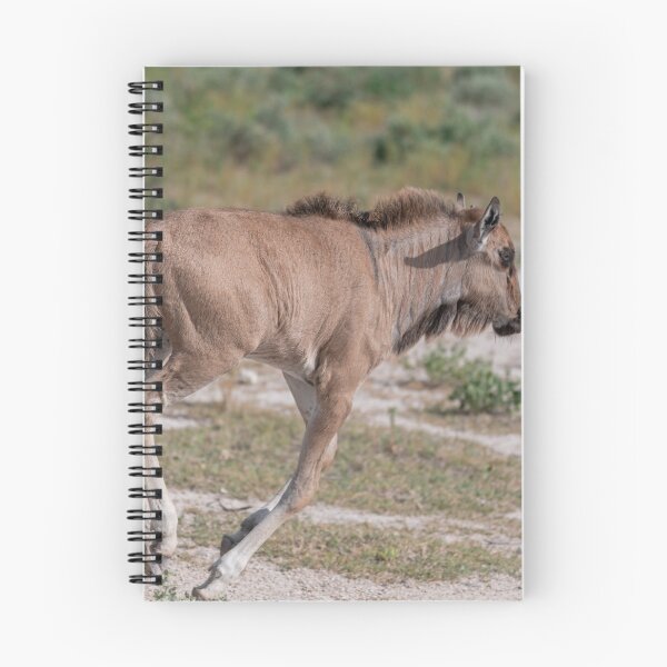 Item preview, First Steps of the Plains — Young Blue Wildebeest Calf, Etosha National Park, Namibia (2023) designed and sold by DavideAntoniani.