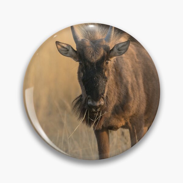 Item preview, Golden Dawn Gaze — Young Blue Wildebeest in Morning Light, Etosha National Park, Namibia (2023) designed and sold by DavideAntoniani.
