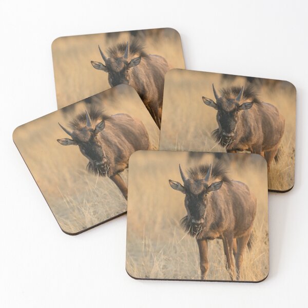 Item preview, Golden Dawn Gaze — Young Blue Wildebeest in Morning Light, Etosha National Park, Namibia (2023) designed and sold by DavideAntoniani.