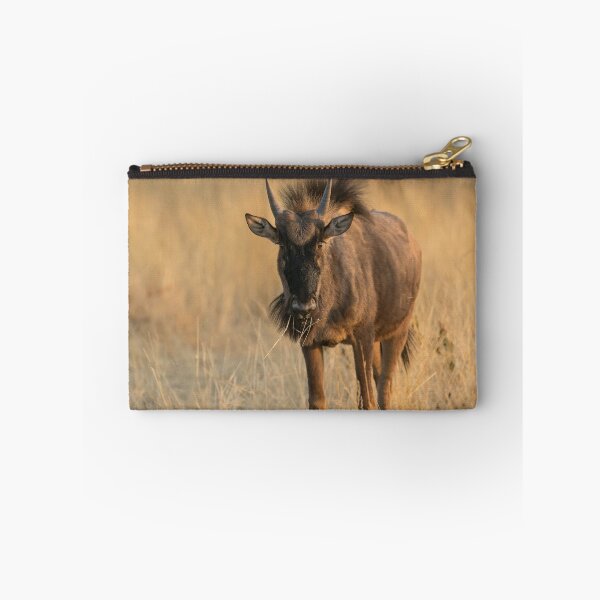 Item preview, Golden Dawn Gaze — Young Blue Wildebeest in Morning Light, Etosha National Park, Namibia (2023) designed and sold by DavideAntoniani.