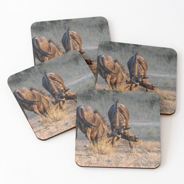 Item preview, Lock of Horns — Blue Wildebeest Sparring at Dusk, Etosha, Namibia (2023) designed and sold by DavideAntoniani.