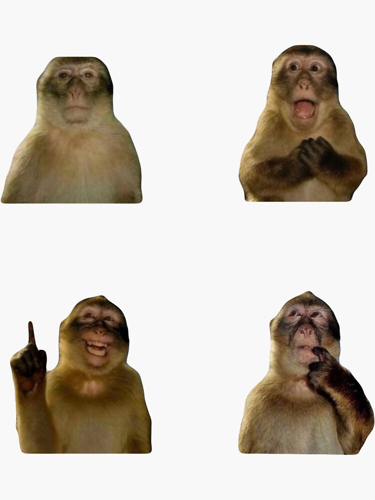 Silly monkey sticker pack (thinking monkey variations)  Sticker