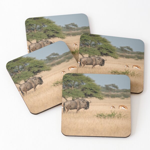 Item preview, Lone Guardian — Blue Wildebeest and Springbok on the Golden Plains, Etosha, Namibia (2023) designed and sold by DavideAntoniani.