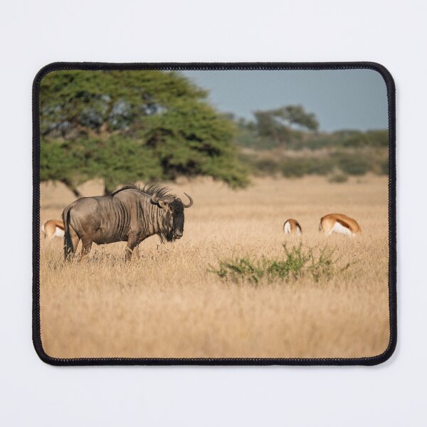Item preview, Lone Guardian — Blue Wildebeest and Springbok on the Golden Plains, Etosha, Namibia (2023) designed and sold by DavideAntoniani.