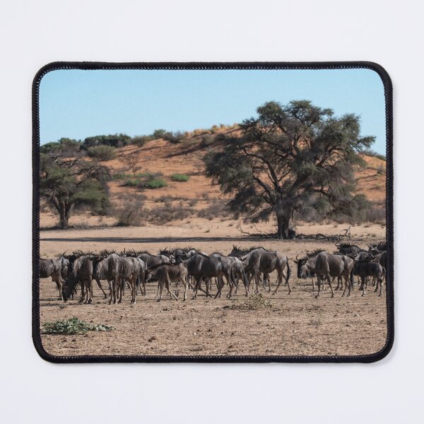 Item preview, Shade of the Dunes — Blue Wildebeest Herd, Southern African Savanna (2023) designed and sold by DavideAntoniani.