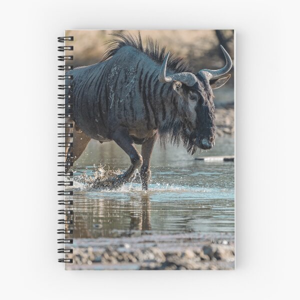 Item preview, Splash and Shadow — Blue Wildebeest at the Waterhole, Etosha, Namibia (2023) designed and sold by DavideAntoniani.