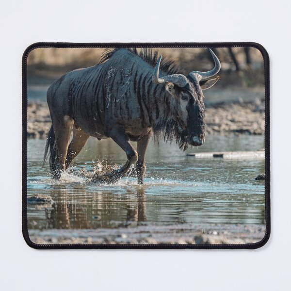 Item preview, Splash and Shadow — Blue Wildebeest at the Waterhole, Etosha, Namibia (2023) designed and sold by DavideAntoniani.