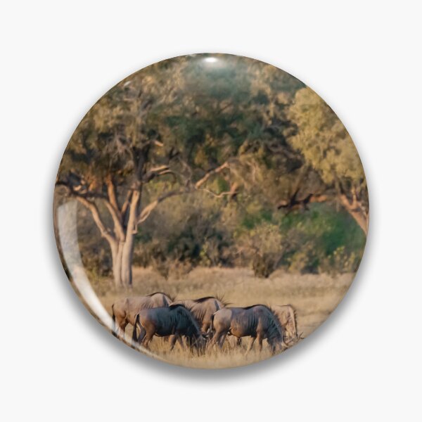 Item preview, Woodland Glow — Blue Wildebeest Grazing at Dusk, Southern African Savanna (2023) designed and sold by DavideAntoniani.